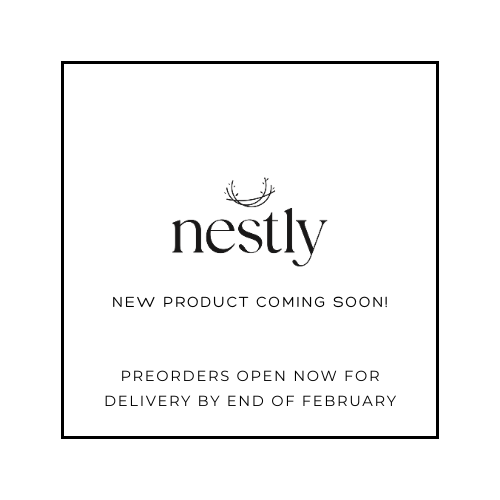 The Big Moment Box - Older Sibling Gift box